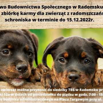 TBS w Radomsku organizuje zbiórkę karmy dla bezdomnych zwierząt