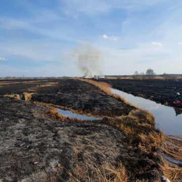 Gm. Gidle. Płonęło ponad 20 hektarów. To największy pożar nieużytków w tym roku