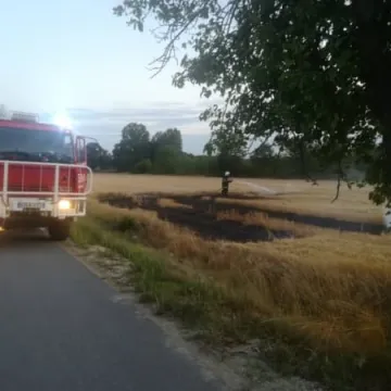 Pożar ścierniska w Wólce Pytowskiej