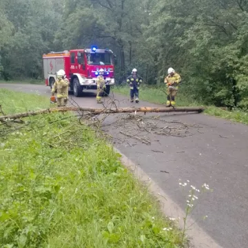 [WIDEO] Potężna nawałnica nad Radomskiem. Strażacy już w akcji