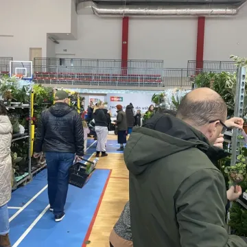 Rośliny opanowały Radomsko. Festiwal Roślin odbył się po raz pierwszy