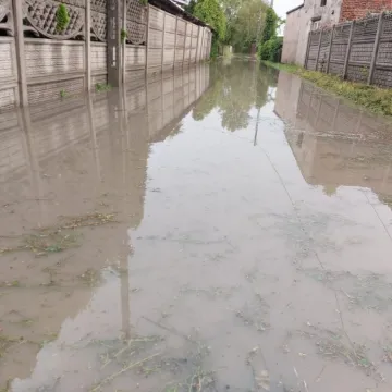 Mieszkanka ul. Krasickiego: Od 20 lat nikt z tym nic nie robi!