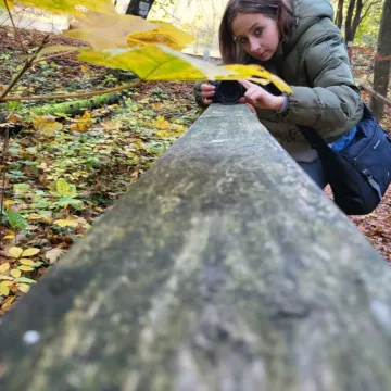 Inspiracja na Jurajskim Szlaku