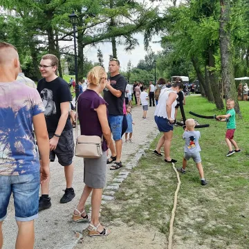 Wielkie Łowy Króla Kazimierza w Przedborzu