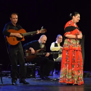 Kultura romska w MDK