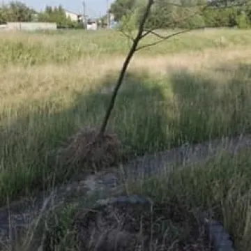 Bałagan na ścieżce do pomnika na Kopcu