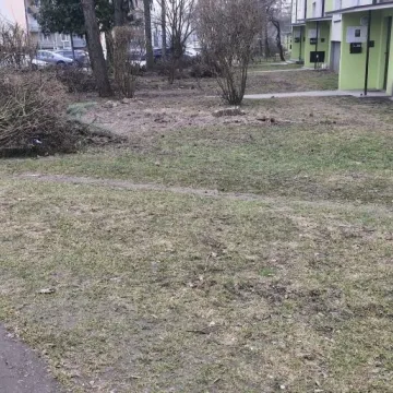 Zniknęły żywopłoty, pojawiły się pytania