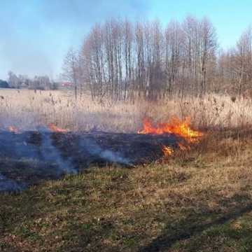 Kolejne pożary lasów w powiecie radomszczańskim
