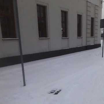 Śnieżna przeprawa na dworzec PKP w Radomsku