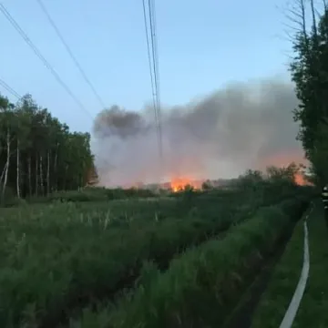 Spłonęło 5 hektarów traw