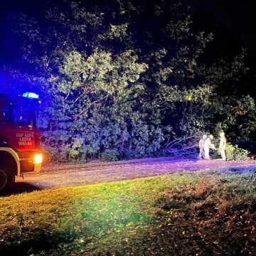 Strażacy usuwali skutki nocnej wichury
