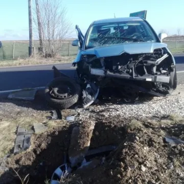 Wola Jedlińska (gmina Ładzice): Wypadek z udziałem dzieci