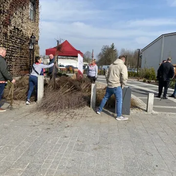 Zielone Radomsko. Darmowe sadzonki dla mieszkańców