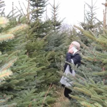 Wybierz wymarzoną choinkę z Nadleśnictwem Radomsko