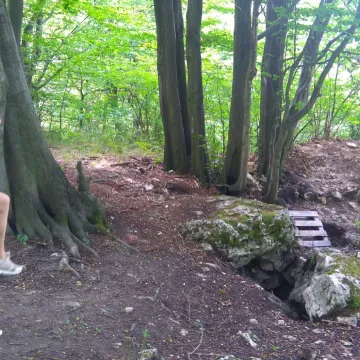 Udany wakacyjny trekking MOSiR