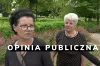 Opinia publiczna, czyli sonda uliczna [5.07.2021]