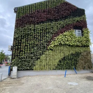 Ogrody wertykalne w Radomsku oficjalnie oddane do użytku