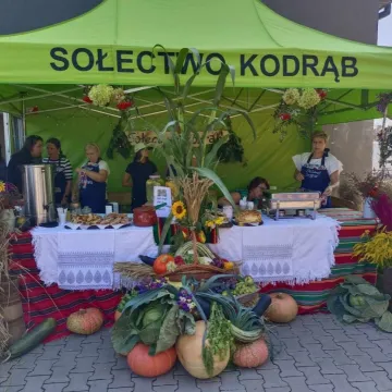 Tak obchodzono święto plonów w Kodrębie