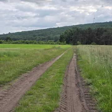 Ponad 600 metrów nowej asfaltowej drogi powstanie w Szpinalowie Górnym