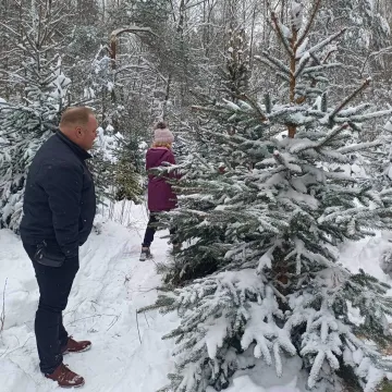 II edycja „choinkobrania” w Radomsku
