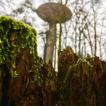 Plener fundacji FotoPozytyw