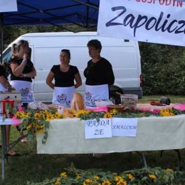 Piknik Ekologiczny w Parku Solidarności w Radomsku