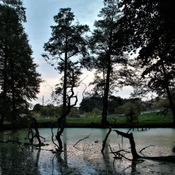 Foto Pozytyw edukuje w Niechcicach