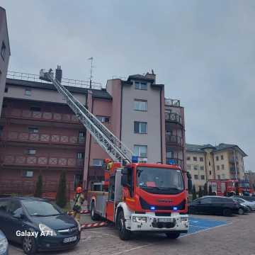 Kot utknął w wentylacji budynku wielorodzinnego w Radomsku