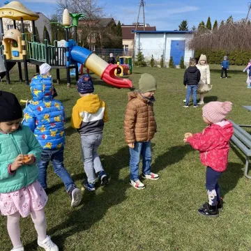 Zajączek ukrył się w PP nr 5 w Radomsku. Dzieci ruszyły na poszukiwania