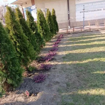 Przy „ekonomiku” w Radomsku powstaje ogród kieszonkowy