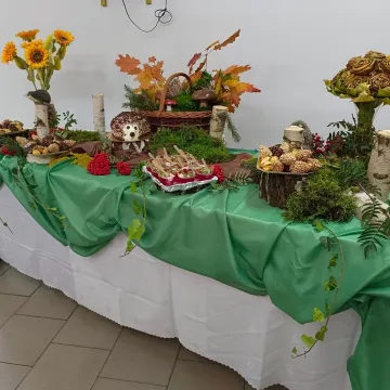 W PSP 8 w Radomsku utworzono „Leśne Obserwatorium”