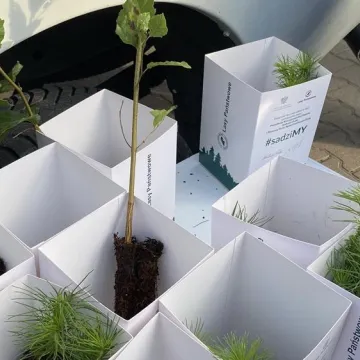 Poseł Anna Milczanowska rozdawała sadzonki z autografem pary prezydenckiej