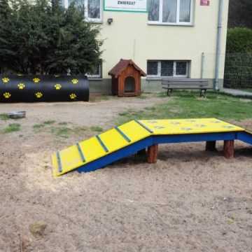 W schronisku dla zwierząt w Radomsku powstał Mini Dog Park