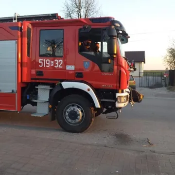 Odkażanie w gminie Wielgomłyny