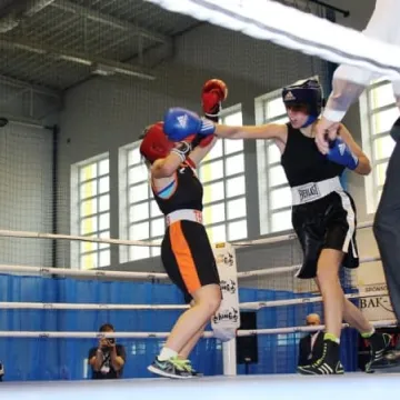 Boks królował w Radomsku