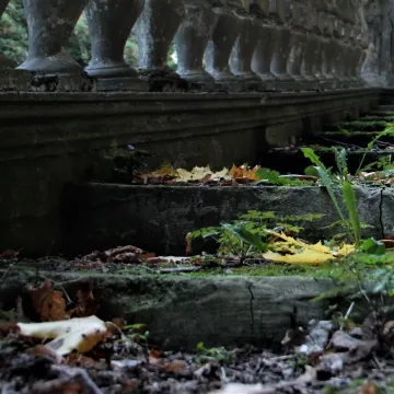 Foto Pozytyw edukuje w Niechcicach
