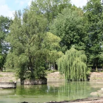 Postęp prac rewaloryzacyjnych w parku Świętojańskim [zdjęcia i film]