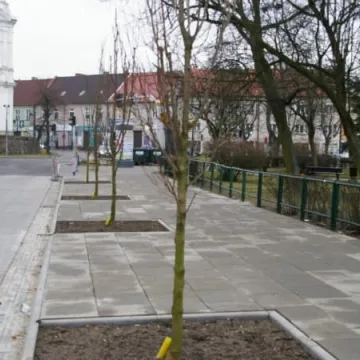 Rewitalizacja ul. Reymonta. Jak postępują prace?