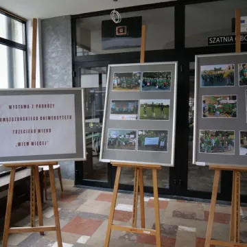 Studenci RUTW „Wiem więcej” przygotowali wystawę choinek w MDK