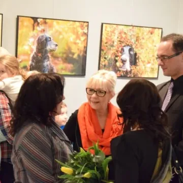 Cztery łapy w obiektywie 