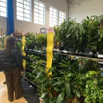 Rośliny opanowały Radomsko. Festiwal Roślin odbył się po raz pierwszy