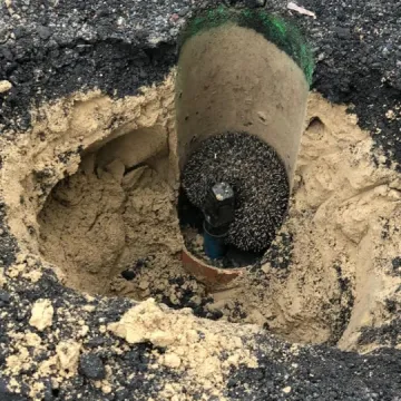 Zwierzak wpadł do rury