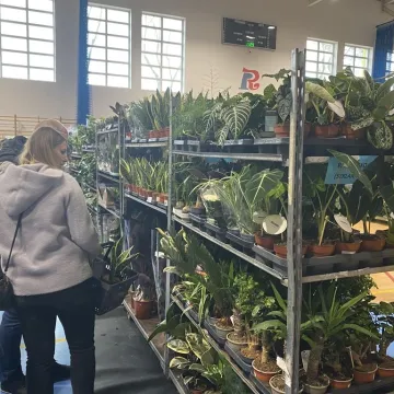 Rośliny opanowały Radomsko. Festiwal Roślin odbył się po raz pierwszy