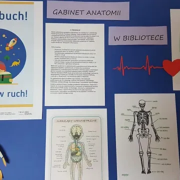 Warsztaty w bibliotecznej filii: „Gabinet anatomii w bibliotece”