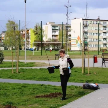 Samorządowcy z Platformy Dialogu sadzili drzewa