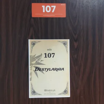 Wiedźmiński dzień w Elektryku