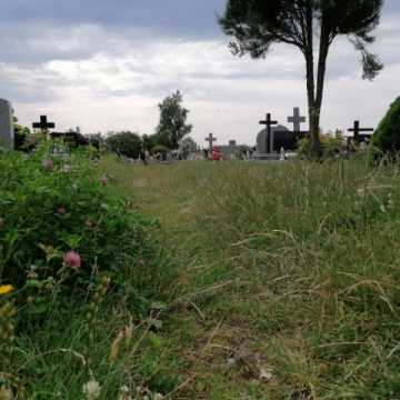 Śmieci i trawa prawie po kolana – wizytówka cmentarza