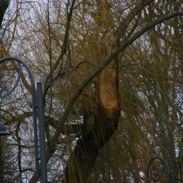 Park Świętojański w Radomsku zamknięty