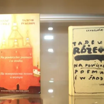 Różewicz w bibliotece