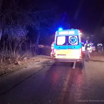 Jechał za szybko. Uderzył w drzewo